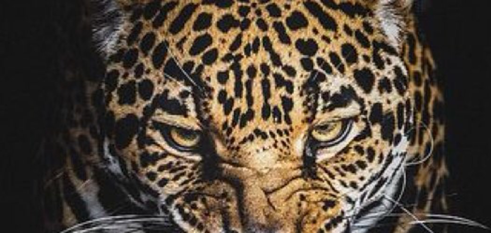 Johnson High School Womens Soccer